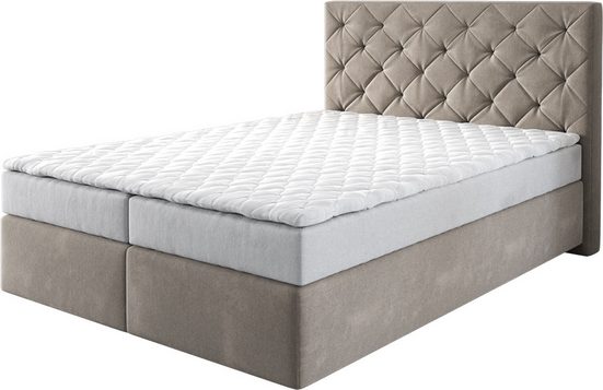 DELIFE Boxspringbett Dream-Great Mikrofaser Grau 120x200 cm mit Matratze und Topper mehr 2025