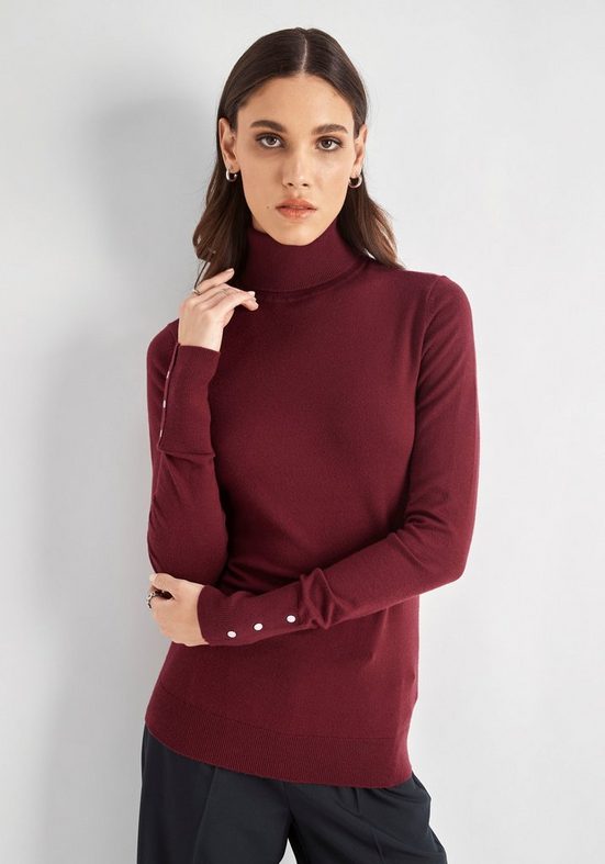 HECHTER PARIS Strickpullover mit Rollkragen mehr Zeitbegrenzte Promotion