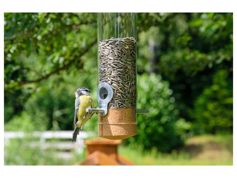 dobar Futterspender »Premium-Pickbar«, aus Echtglas Versandkostenfrei