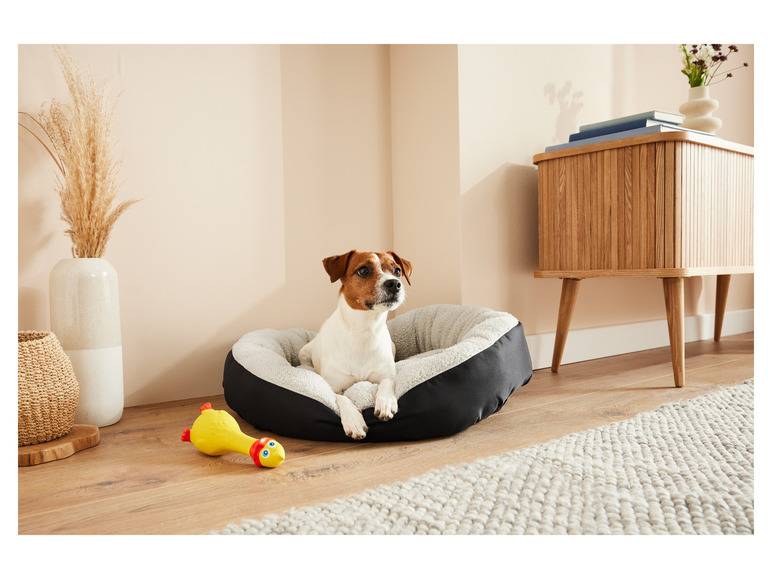 zoofari® Hundebett, mit kuscheligem Plüsch Saisonschlussverkauf