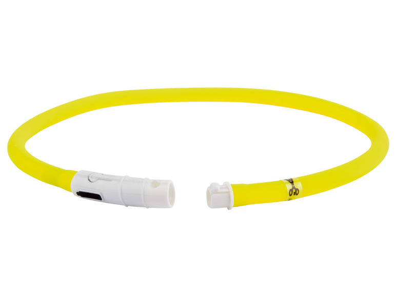 zoofari® Hundehalsband, mit LED Jubiläumsangebot