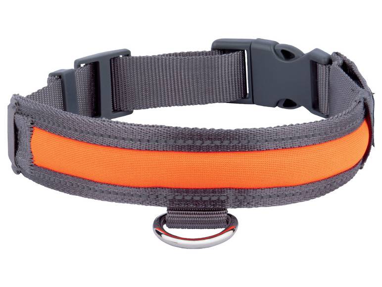 zoofari® Hundehalsband, mit LED Jubiläumsangebot