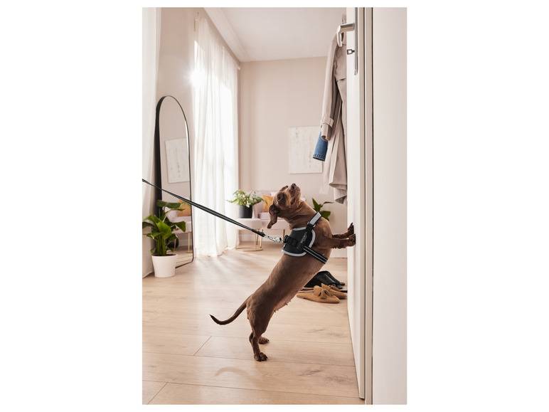 zoofari® Hundegeschirr, mit Klettstickern Lagerräumung