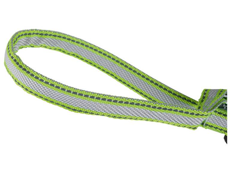 zoofari® Ausziehleine LED, 3 Leuchtfunktionen Top Angebot
