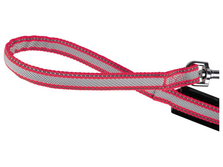 zoofari® Ausziehleine LED, 3 Leuchtfunktionen Top Angebot