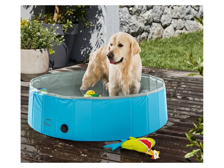 zoofari® Hundepool, Ø 120 x H 30 cm, mit Antirutsch-Boden Exklusive Angebote