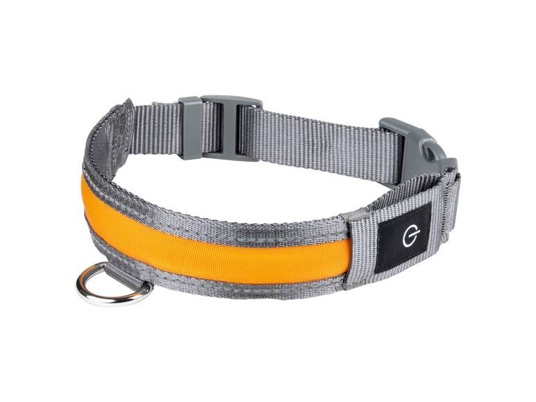 zoofari® LED-Hundeleuchtband, mit wiederaufladbarem Akku Bestseller