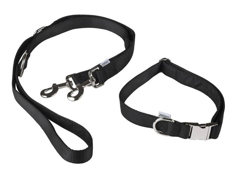 zoofari® Hundehalsband mit Hundeleine Riesige Ersparnisse