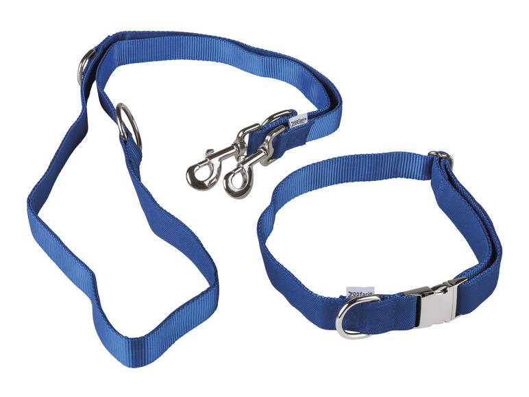 zoofari® Hundehalsband mit Hundeleine Riesige Ersparnisse