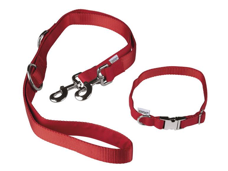 zoofari® Hundehalsband mit Hundeleine Riesige Ersparnisse
