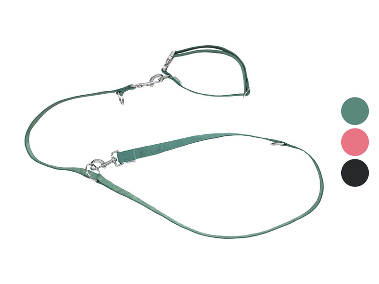 zoofari® Hundehalsband und Hundeleine Tiefpreis