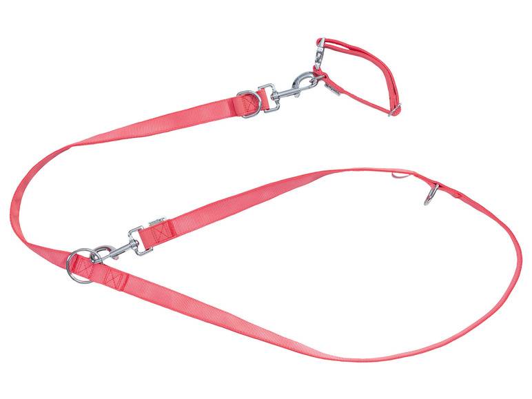 zoofari® Hundehalsband und Hundeleine Tiefpreis
