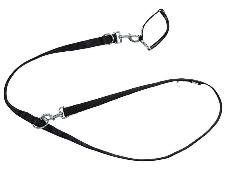 zoofari® Hundehalsband und Hundeleine Tiefpreis