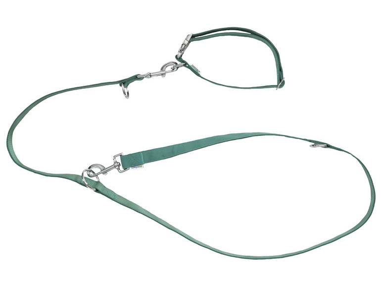 zoofari® Hundehalsband und Hundeleine Tiefpreis