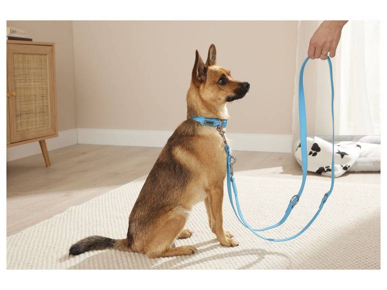 zoofari® Hundehalsband und Leine, 3-fach verstellbar Wochenangebot
