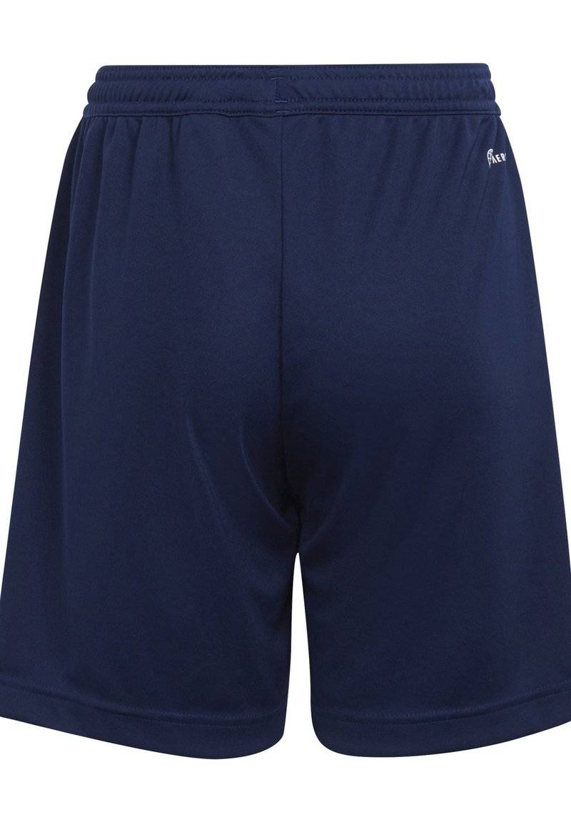 adidas Performance adidas Performance ENTRADA - Sports shorts - blue Jubiläumsangebot
