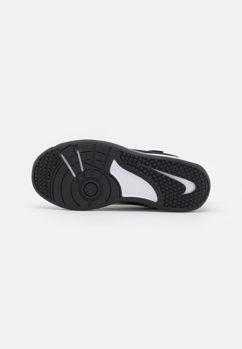 Nike Performance Nike Performance OMNI MULTI COURT - Training shoe Begrenzte Freigabe