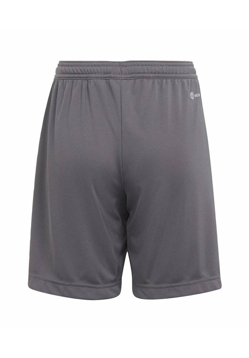 adidas Performance adidas Performance ENTRADA - Sports shorts - grey Cyber Monday