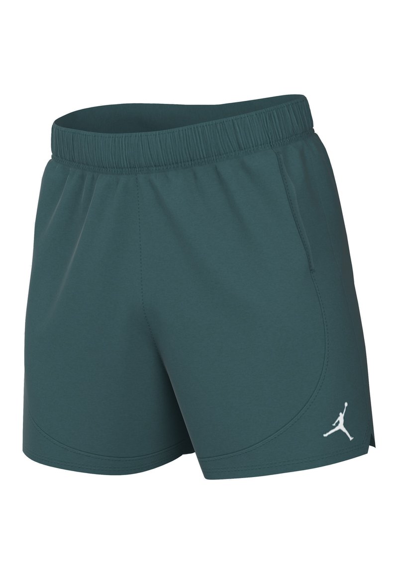 Jordan Jordan Sports shorts - oxidized green Speichern exportieren