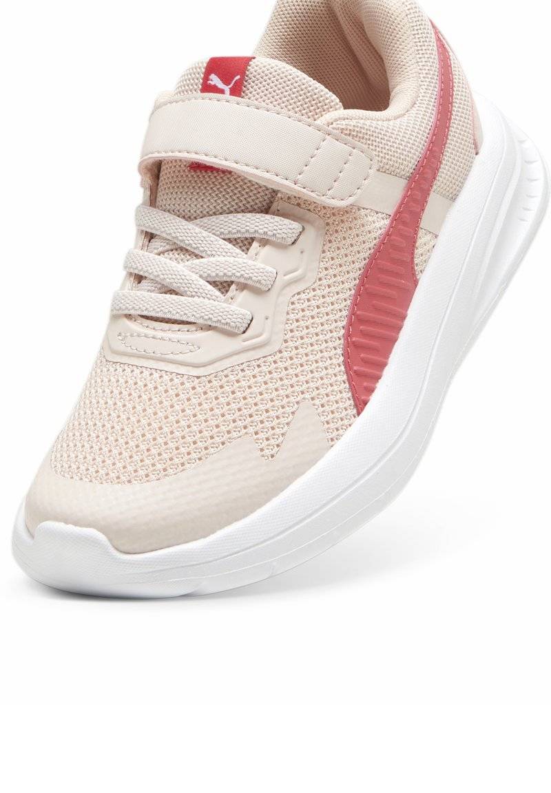 Puma Puma EVOLVE - Stability running shoes - island pink white tart cherry Weihnachtsangebot