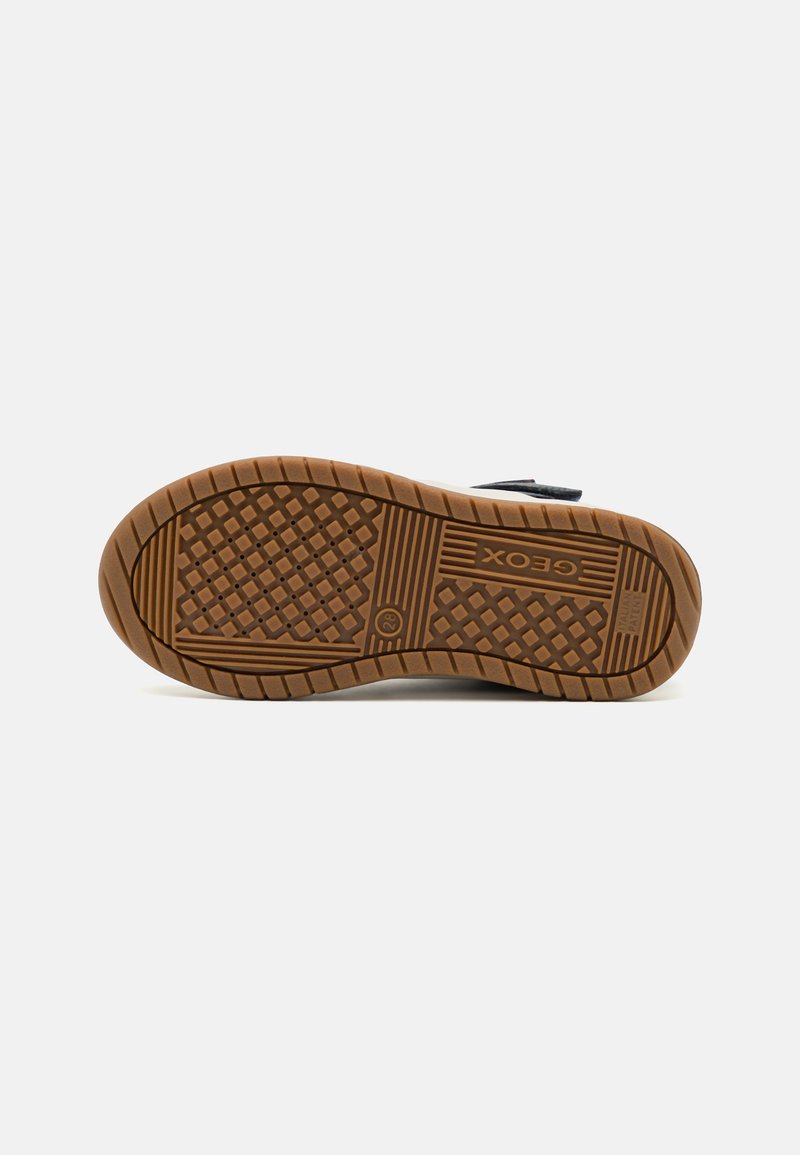 Geox Geox PERTH BOY - High-top trainers Bestseller