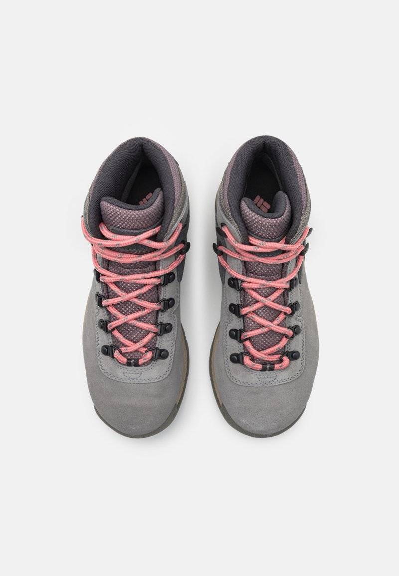 Columbia Columbia NEWTON RIDGE PLUS WATERPROOF AMPED - Hiking shoes Günstig kaufen